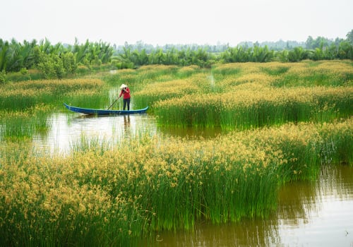 Mekong,Delta,Landscape,With,Vietnamese,Woman,Rowing,Boat,On,Nang