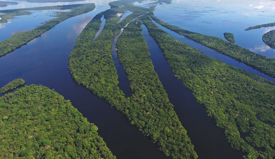 Aerial view of vast wetlands