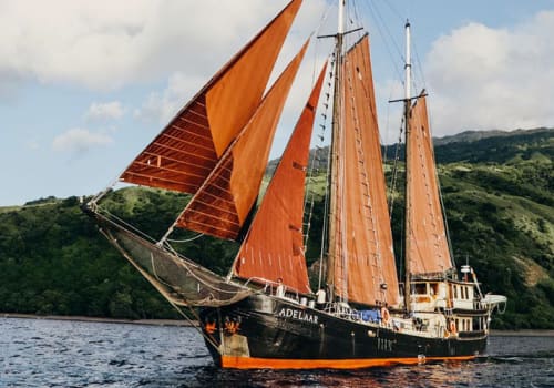 Adelaar Indonesia Cruise