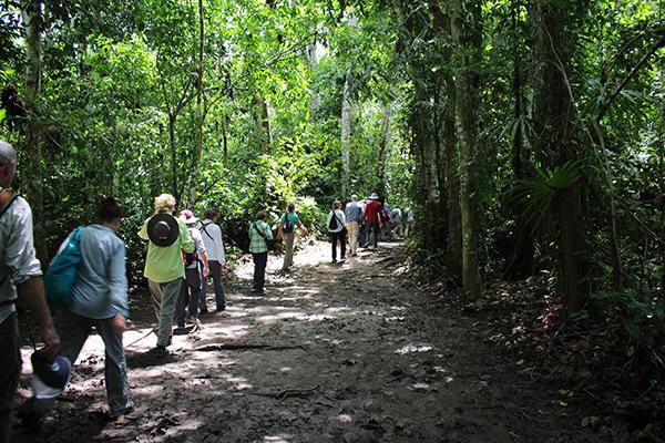 Agua Marina’s 8-Day Bird Watching Itinerary Day Eight - Dismbarkation.
