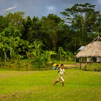 Boy flying kite