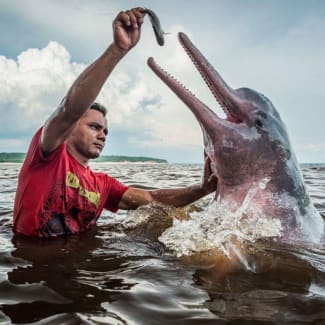 Man feding a dolphin