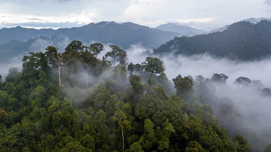 Aerial,View,Of,Mist,,Cloud,And,Fog,Hanging,Over