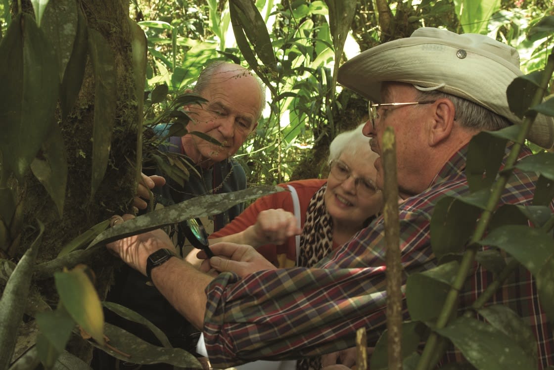 Group Of Friends Exploring Near Their Lodge in the Peruvian Amazon