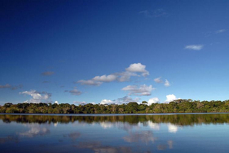 Anakonda Amazon's 4-Day Itinerary Day Two - River Views.