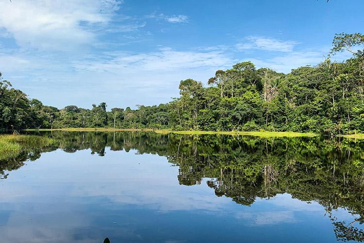 Delfin II Amazon’s 5-Day Itinerary Day One - Amazon River Views.