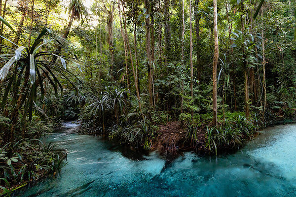 Aqua Blu's 8-Day Sorong to Sorong - Day Eight
