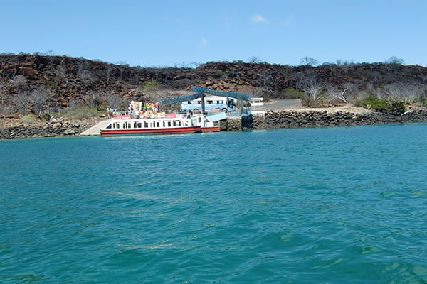 Nemo II’s 8-Day Southern Itinerary Day One - Embarkation.