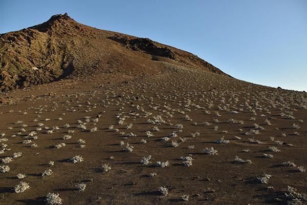 Galapagos Sea Star’s 5-Day Itinerary Day Four - Bartolome Island.