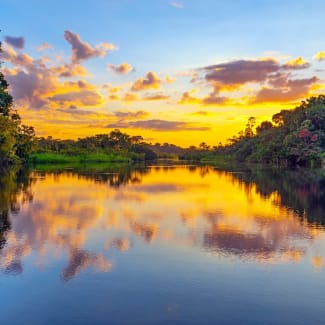 Magic Sunset In The Yasuni National Park, Ecuador