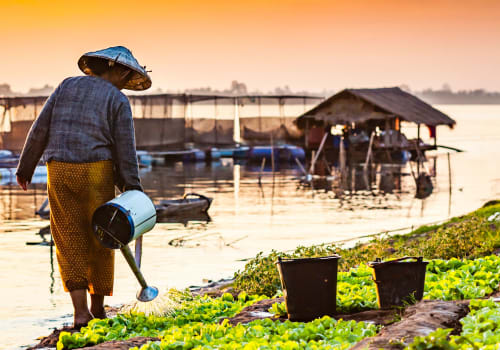 lady walking along the river