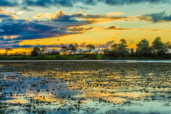 Manaus gateway to the amazon sunset