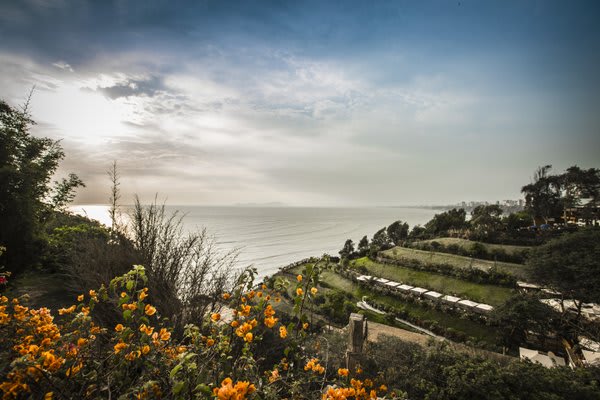 Lima Coastline with flowers