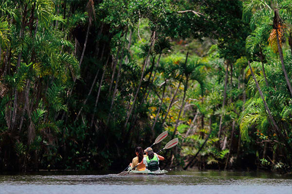 kayaking in the amazon rainforest