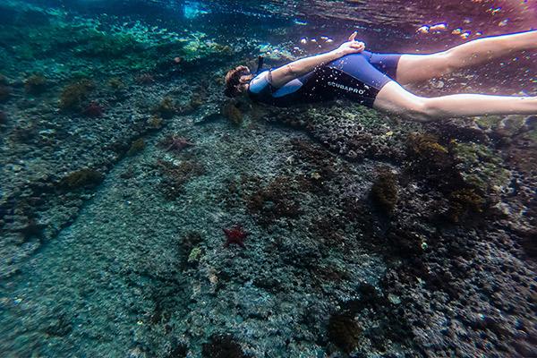 Nemo III's 5-Day Northern Islands Itinerary Day Three - Deep Water Snorkelling.