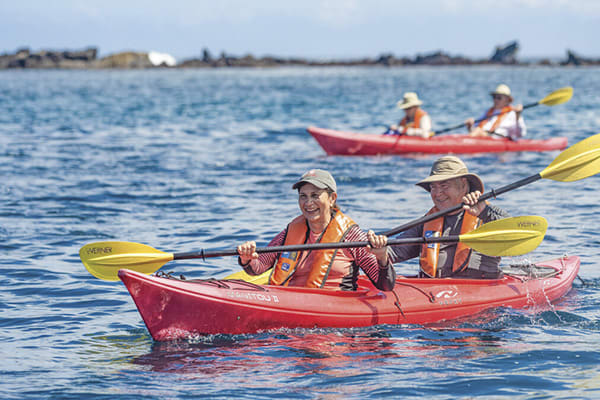 Delfina - An Intimate Voyage Western Islands