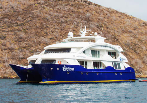 Ship at sea