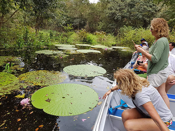 Acqua 5-Day Cruise Itinerary Day One - Water Lily.