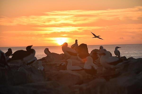 Seaman Journey’s 15-Day F Itinerary Day Thirteen - Española Island Sunset.