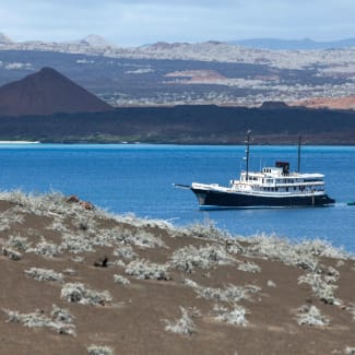 Evolution ship around the islands