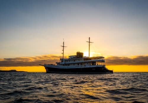 evolution-galapagos-cruise-promotion-may-2022
