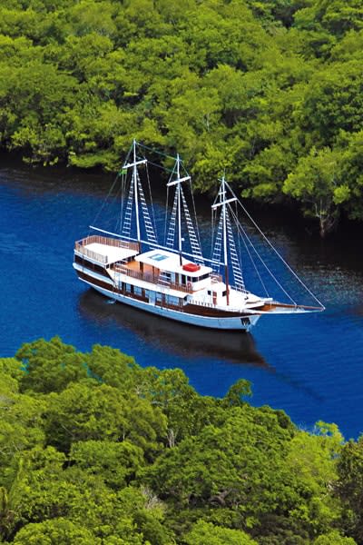 Expedition Cruise on the Amazon River
