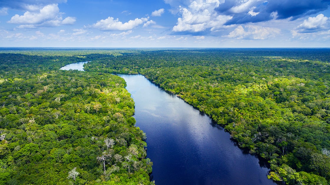 Amazon,Rainforest,In,Brazil