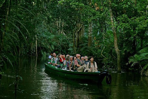 Jacaré Acu's 5-Day Jau National Park Cruise Day Three - Skiff Exploration.