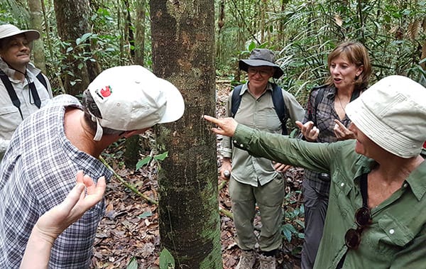 Acqua 5-Day Madada Caves Cruise Itinerary Day Two - Exploring the Amazon Rainforest.