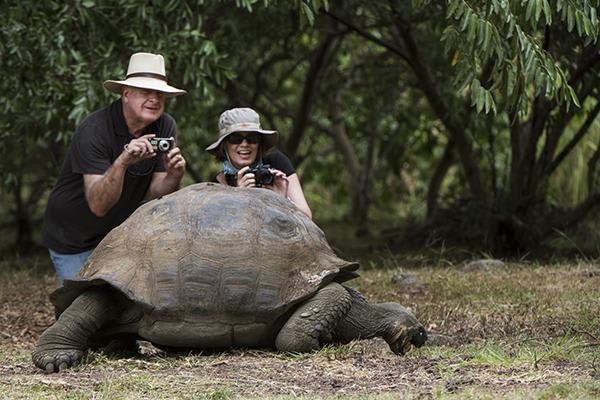 Elite’s 8-Day Itinerary 'B' Day One - Galapagos Giant Tortoise Up Close.