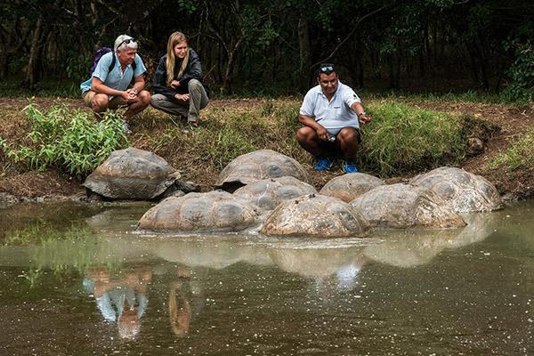 Endemic’s 5-Day Itinerary Day Five - Giant Tortoises.
