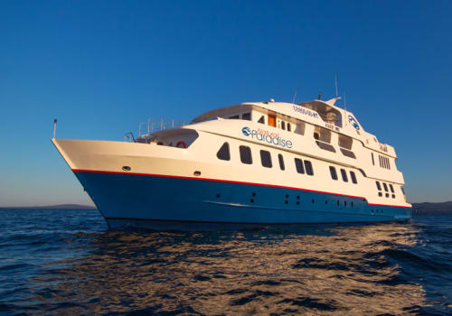 Ship at sea