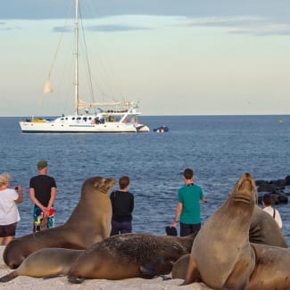 Sea lions and people with the ship in the distance