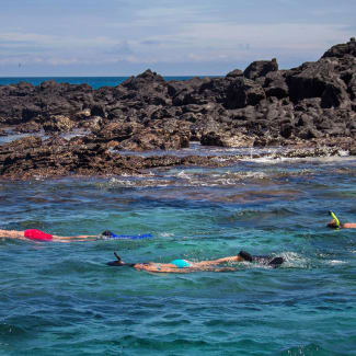 People snorkelling