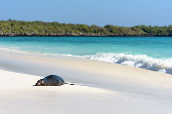 Galapagos Explorer - East