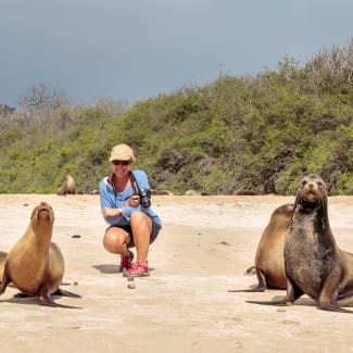 Lady on the beach with sea lions