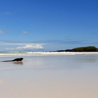 Beach and calm water