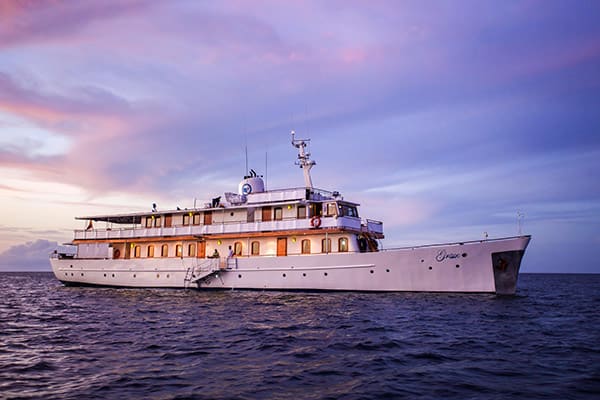 Grace Yacht's Eastern & Central Beyond Darwin's Footsteps 8-Day Itinerary Day Eight - Disembarkation. 