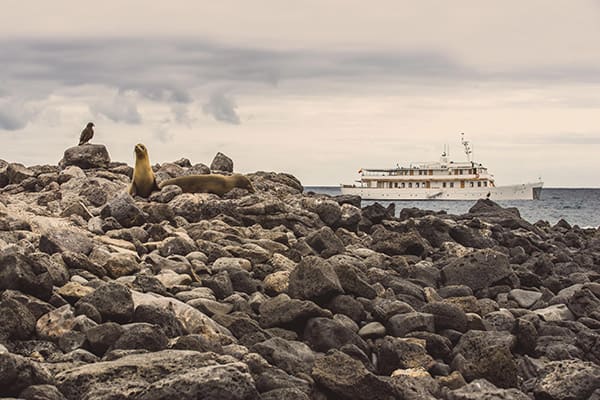 Grace Yacht's Eastern & Central Beyond Darwin's Footsteps 8-Day Itinerary Day One -  Embarkation.