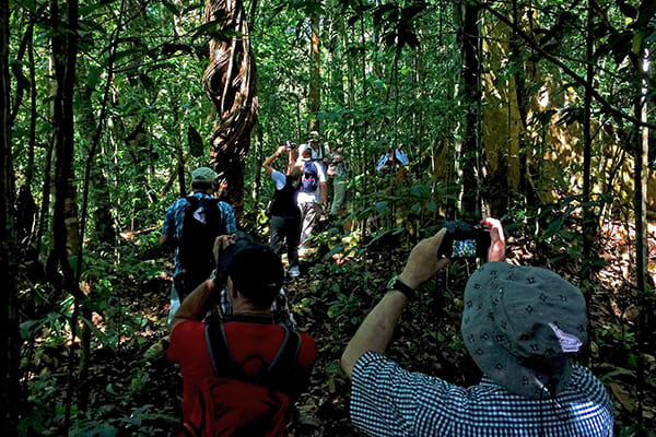 Amazon Eco Boat's 4-Day Discovery Cruise Day Three - Jungle Trekking.