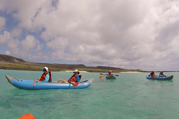 Galapagos Sea Star’s 6-Day C Itinerary Day Two - Kayaking.