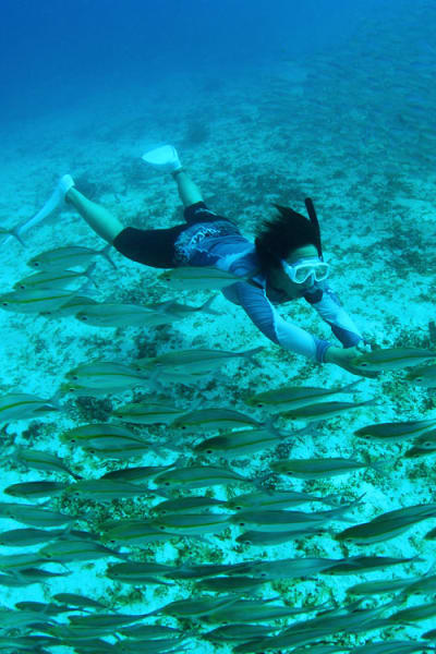 Diver