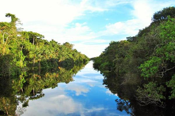La Jangada (Katerre) - Apuaú Wild Rio Negro