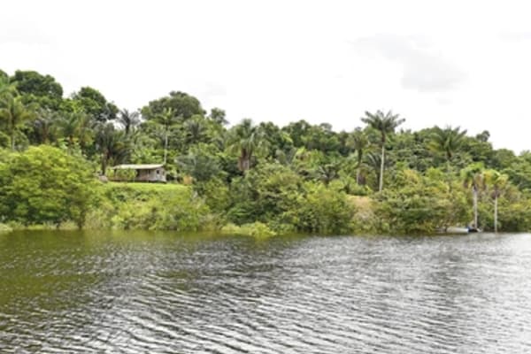 Manakin River Boat - Expedition Cruise