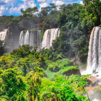 Panoramic view of the Iguazu Falls