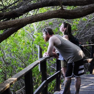 A couple observing nature