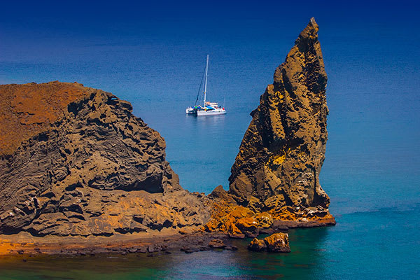Petrel (Golden not ready yet) - Española, Genovesa & Central Islands