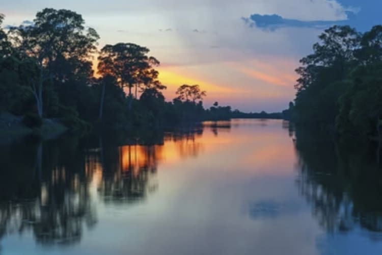 Pure Amazon - 3-Night Itinerary