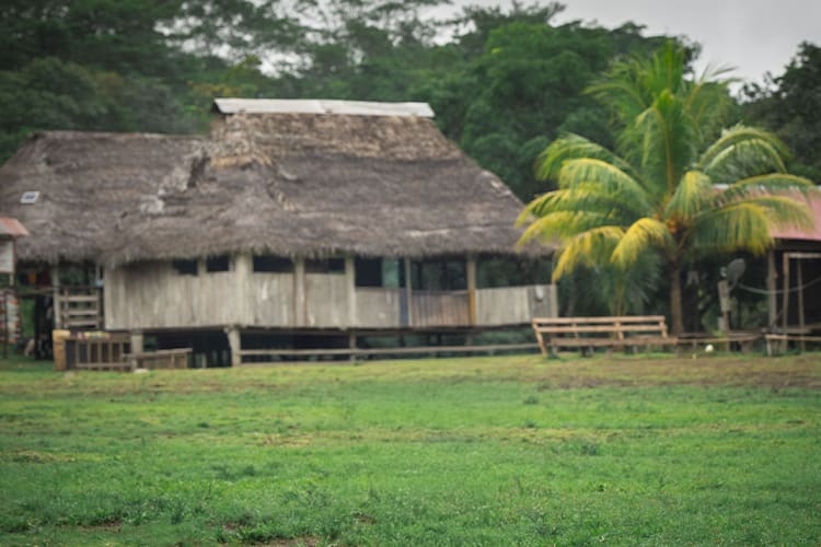 Pure Amazon - 7-Night Itinerary