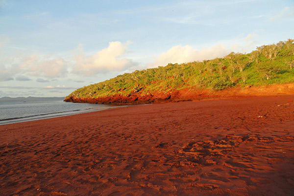 Nemo II’s 8-Day Northern Itinerary Day Six - Rabida Island Shoreline.
